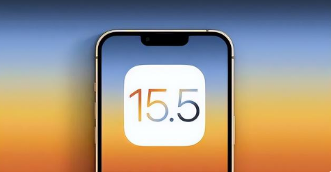 天峻苹果手机维修分享iOS15.5 RC版升级建议 
